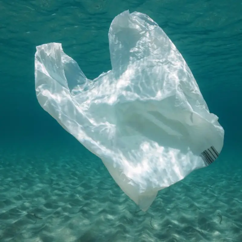 how long do plastic bags take to biodegrade