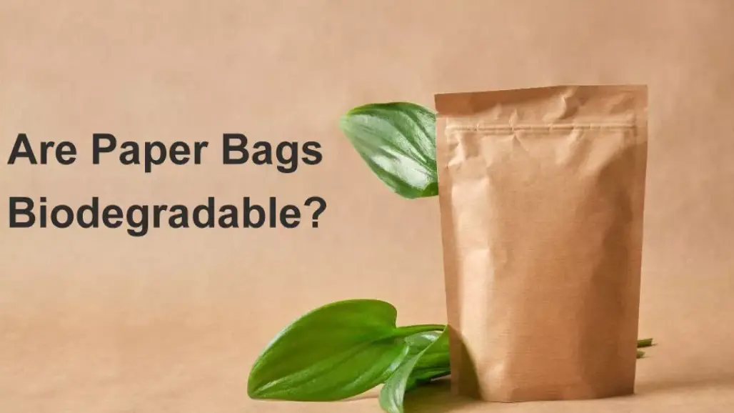 Home 29 paper bags are biodegradable