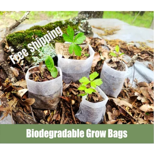 Biodegradable Grow Bags 7 Biodegradable Grow Bags Easy Portability