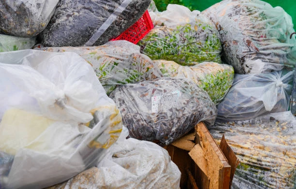 Do Biodegradable Bags Decompose in Landfill 3 Do Biodegradable Bags Decompose in Landfill