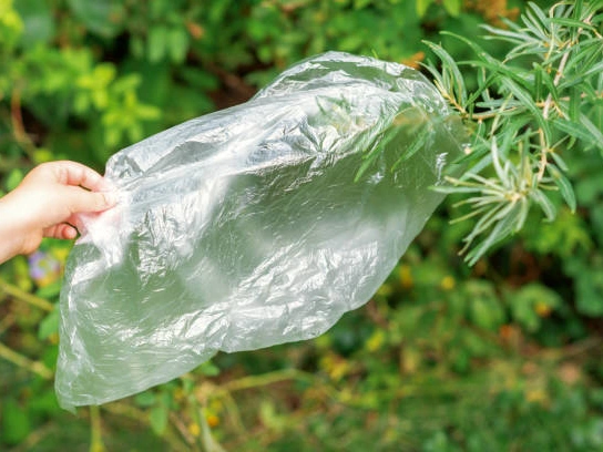 How Much Does It Cost to Make a Biodegradable Bag 1 Raw Material Costs The Foundation of Expenses