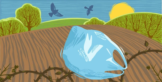 Can Biodegradable Bags Be Composted 1 What Are Biodegradable Bags