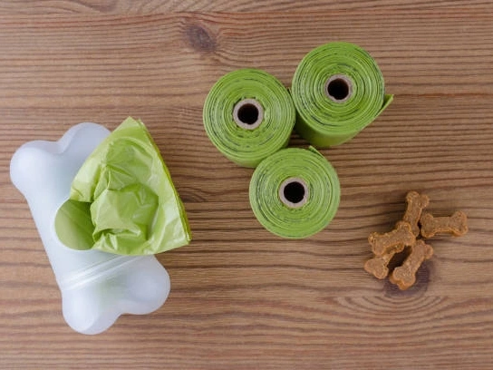 Biodegradable vs Compostable Poop Bags 2 What Are Compostable Poop Bags