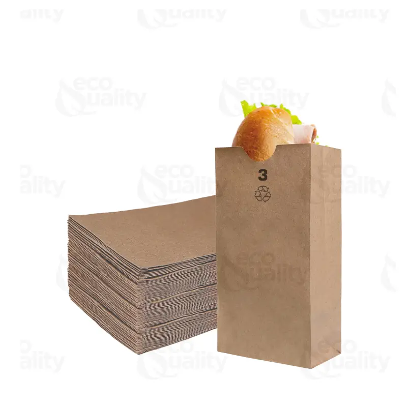 Kraft Paper Grocery Bags 2 brown kraft paper grocery bags