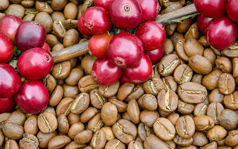 Does Packaging Affect Coffee Freshness: Ultimate Guide 2025 1 the importance of freshness in coffee
