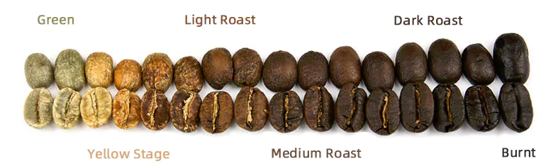 What is the Maillard Reaction? Coffee Roasting Essentials✔ 3 How Does the Maillard Reaction Affect the Flavour of Coffee