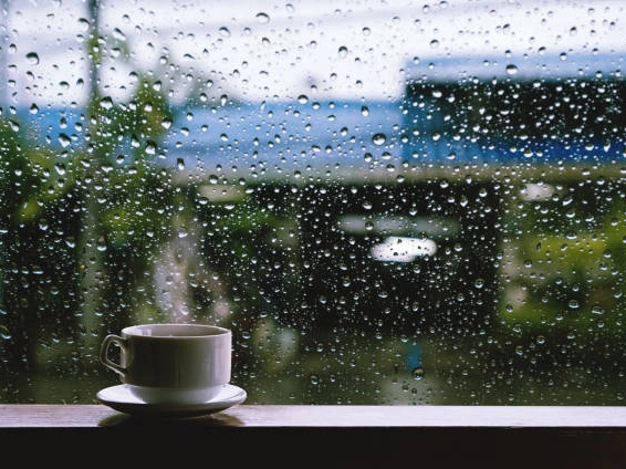 How Does Level of Rainfall Affect Coffee Production 2 The Effects of Climate Change on Coffee Production