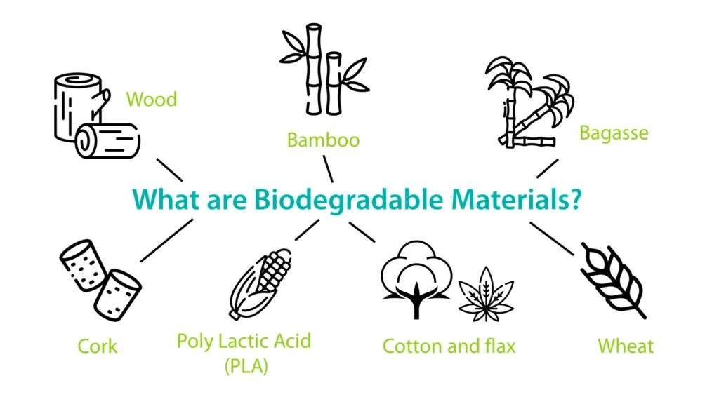 The Recycling Conundrum: Are Biodegradable Bags Recyclable? 1 What Are Biodegradable Materials