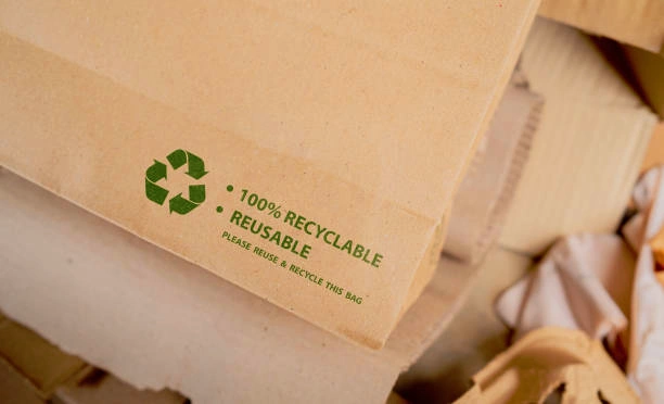 The Recycling Conundrum: Are Biodegradable Bags Recyclable? 2 What Are Recyclable Materials