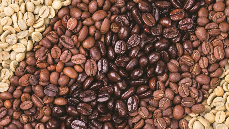 What is the Maillard Reaction? Coffee Roasting Essentials✔ 2 What Are the Different Phases of Coffee Roasting