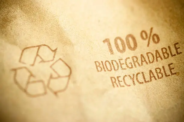 What is Biodegradable Packaging? A Complete Guide 1 What Does Biodegradable Mean