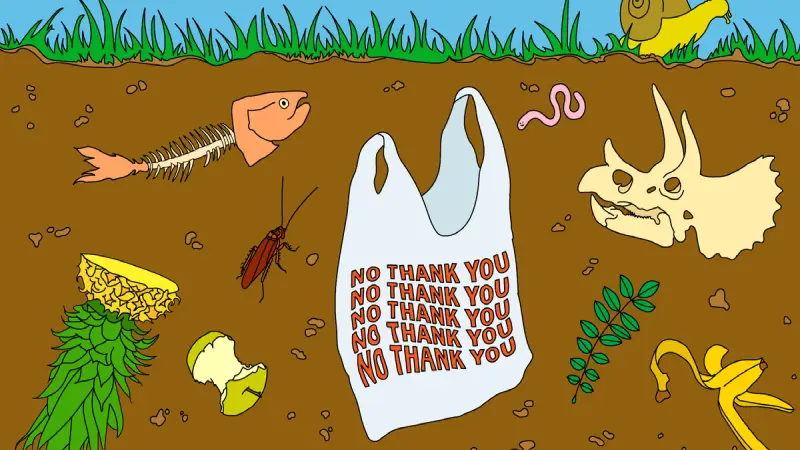 What Are Compostable Bags: The Comprehensive Guide 2025 3 advantages and challenges of compostable bags
