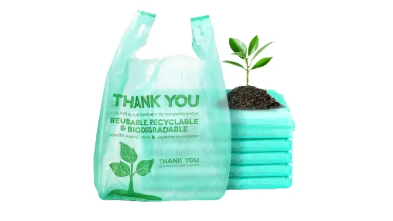 What Are Compostable Bags: The Comprehensive Guide 2025 2 biodegradable plastic bags