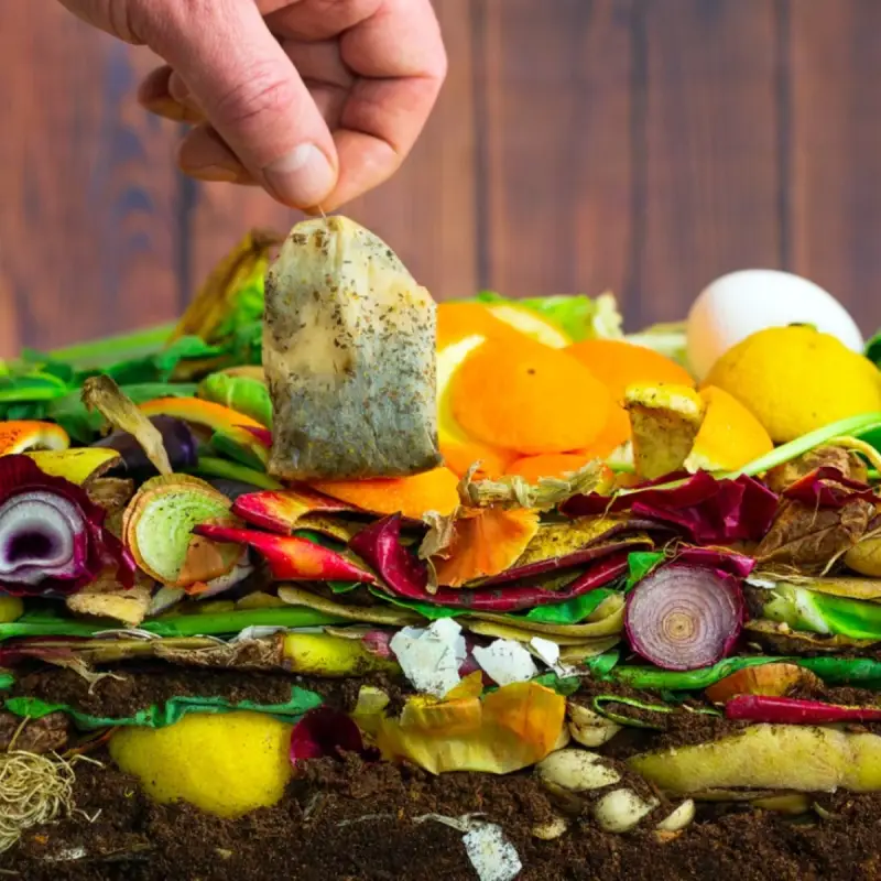 can i put tea bags in compost bin