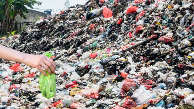 compostable bags break down in landfills