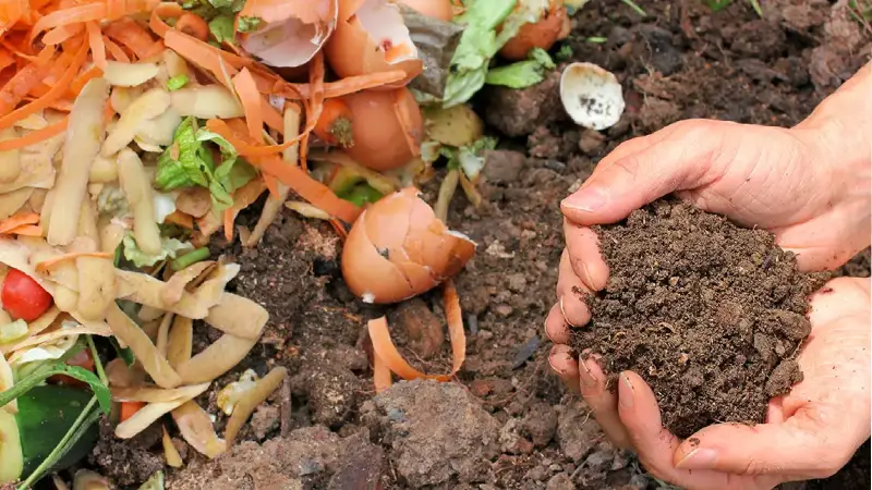 Can You Put Tea Bags in a Compost Bin: The Complete Guide 2025 1 what is composting of waste