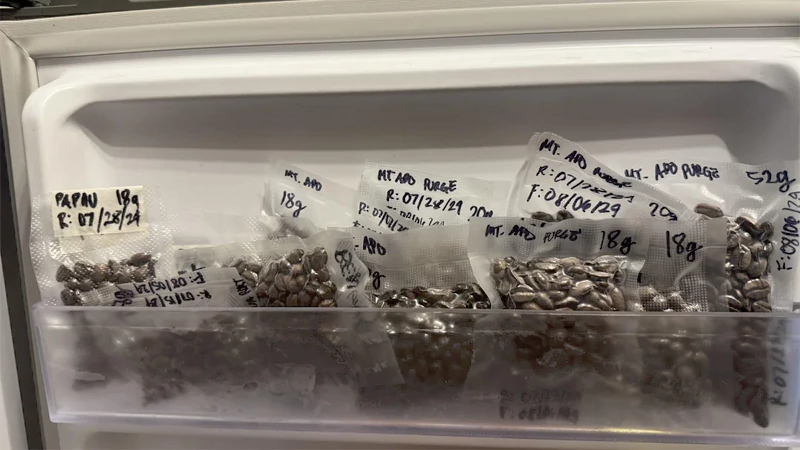 Can You Freeze Roasted Coffee Beans? The Ultimate Guide for Coffee Lovers 2 Refrigerate and store the portioned coffee