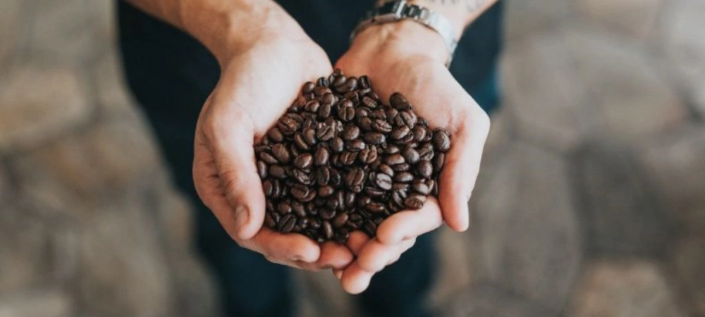 Selling Coffee Online: The Ultimate Guide for Beginners 3 do i need a license to sell coffee online