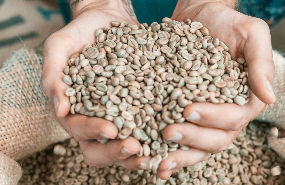 Green Coffee Storage: The Ultimate Guide for Beginner 2 how to store green coffee beans