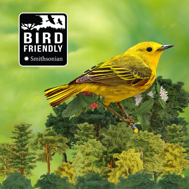 Bird Friendly Coffee