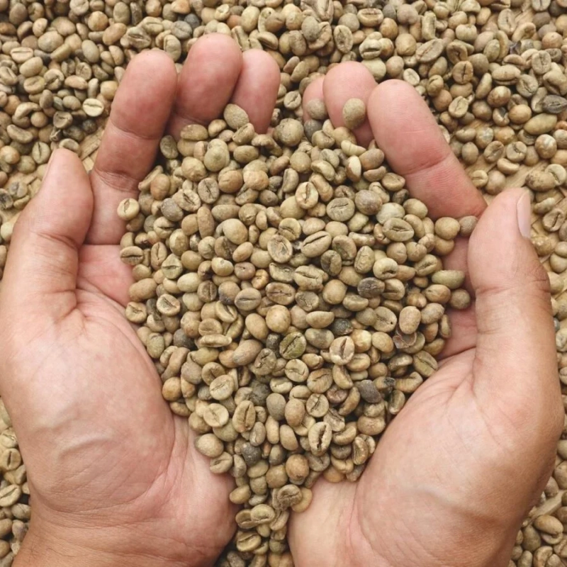 how long do green coffee beans last