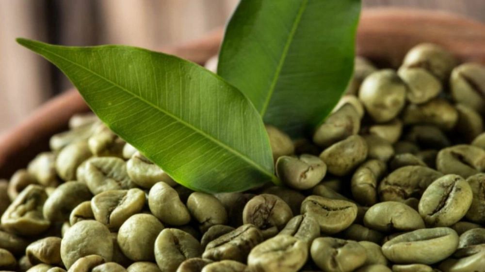 How Long Do Green Coffee Beans Last: The Ultimate Guide 2025 3 how long does green coffee last