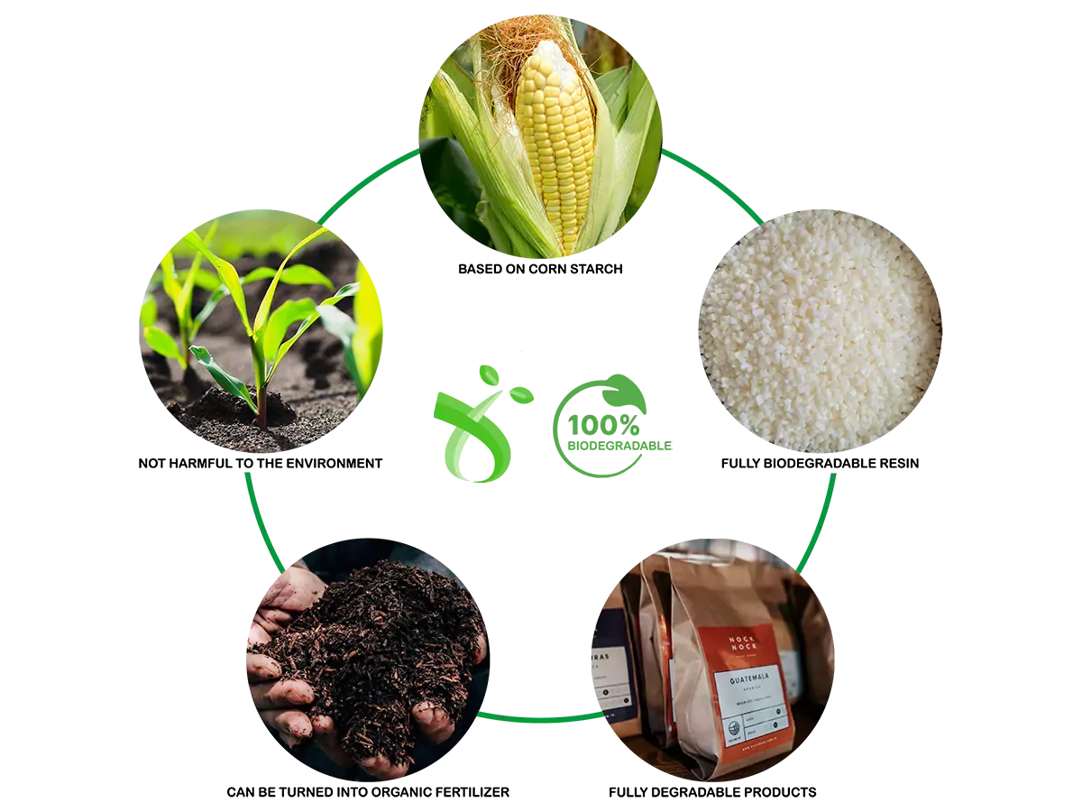 Eco Friendly Packaging Materials for Greener Business 1 Biodegradable Bags