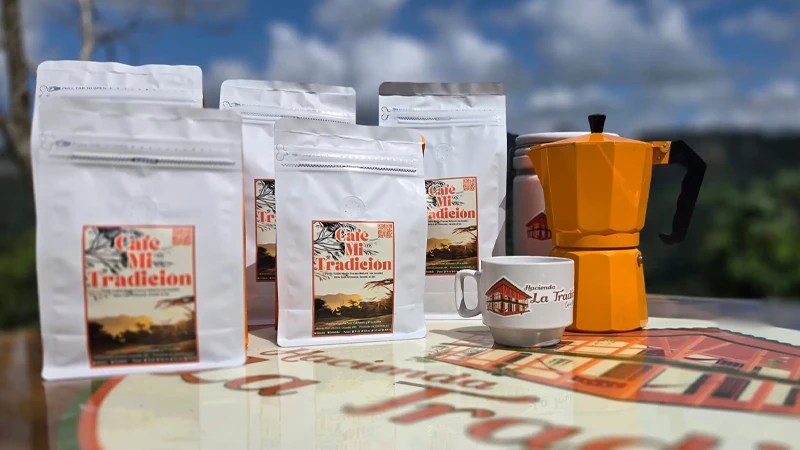 Coffee Tour Bloom & Grow