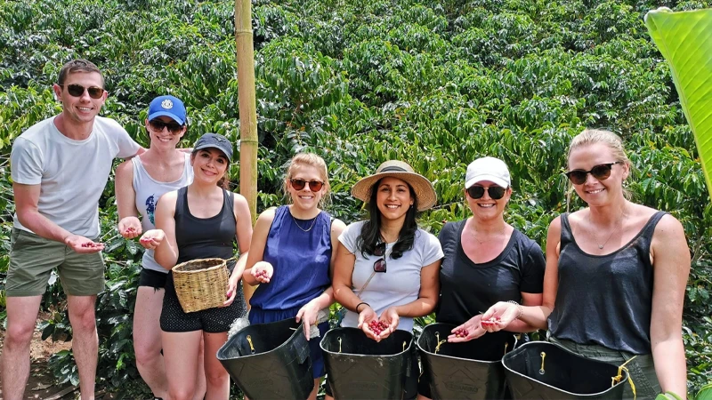 Home 29 Coffee Tourism