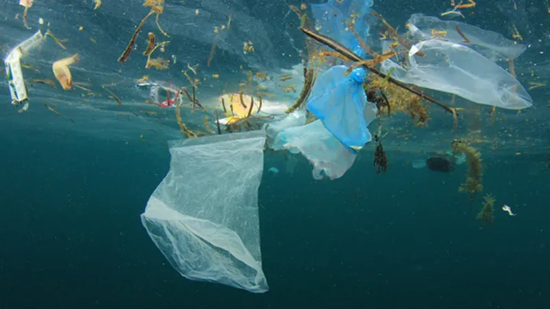 Pouches Environmental Impact for Businesses
